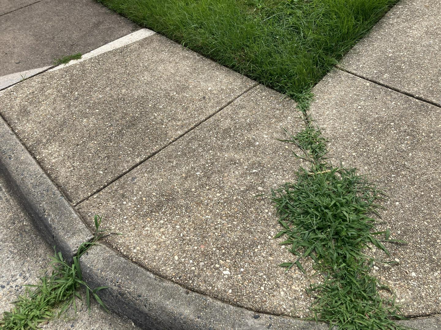 Lake ridge association maintenance problems 