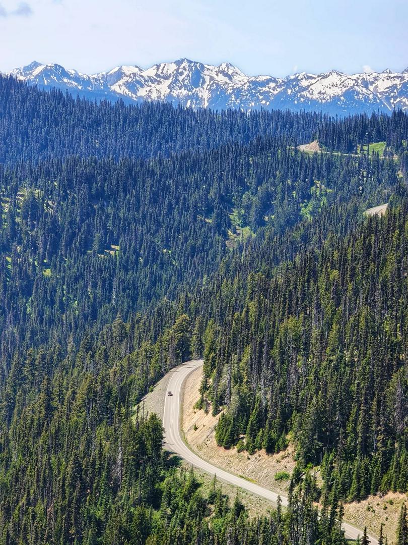 Hiking trip to Hurricane Ridge