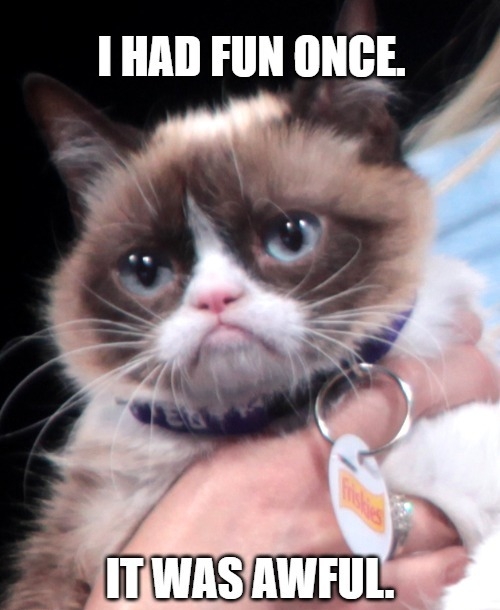 ⭐️Paw-lebrities #1: Grumpy Cat (Tardar Sauce)