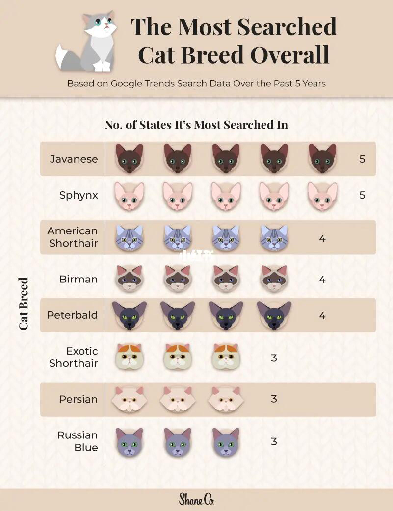 "🐾 Which Cat Breed Rules Your State? Show Us!"