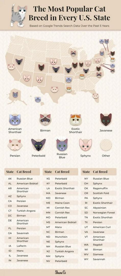 "🐾 Which Cat Breed Rules Your State? Show Us!"