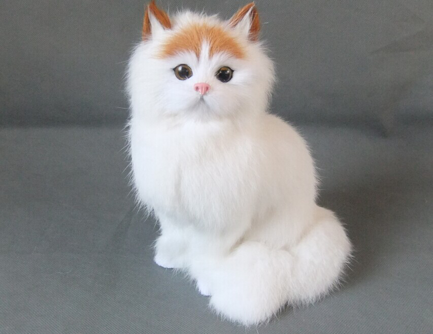 "🐱✨ Persian cats: With noble charm