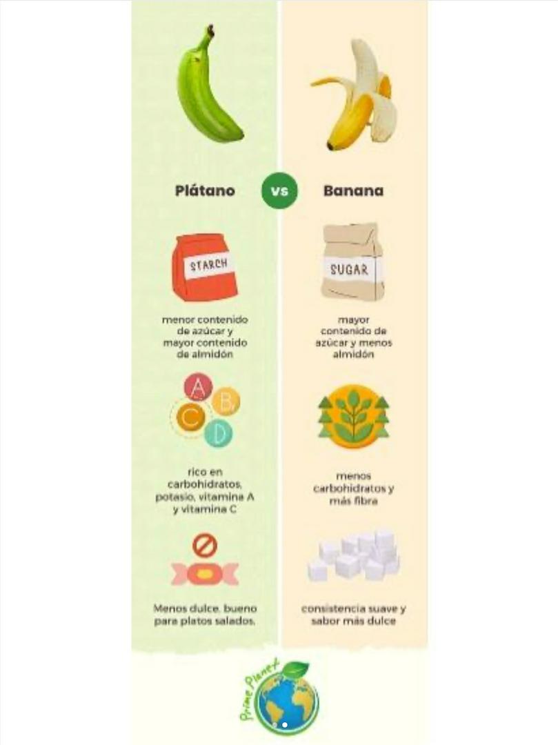 You’ve Been Lied To: Bananas ≠ Plantains?! 🍌😱