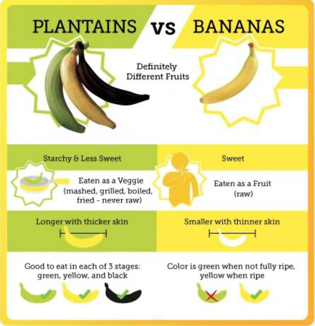 You’ve Been Lied To: Bananas ≠ Plantains?! 🍌😱