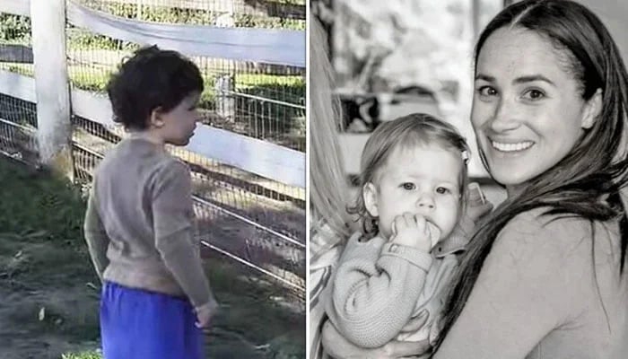 Meghan worried over Archie's fascination with King