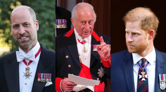 Charles honours William Harry Meghan snubbed again