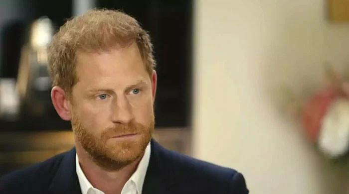 Prince Harry consequences ‘ought like a ‘dog bone