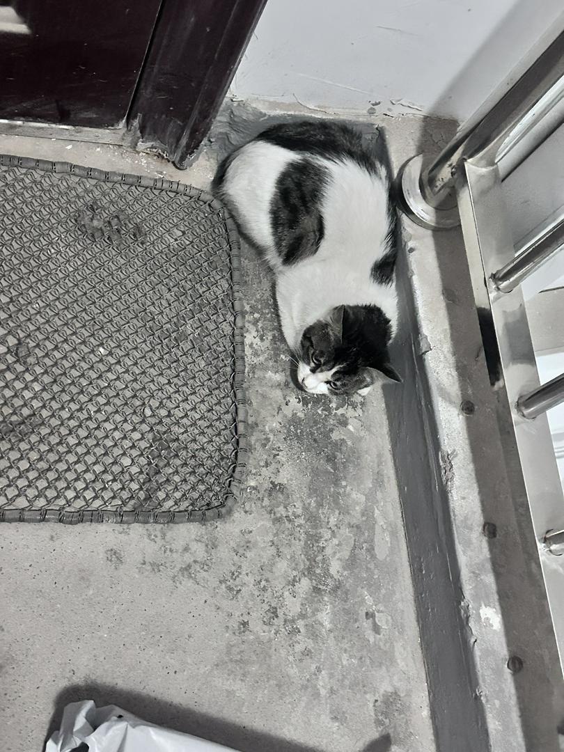 Oh my god, there suddenly appeared at my door!