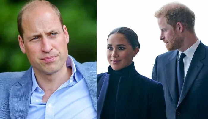 William fears regarding Harry Meghan marriage come