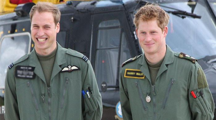 Palace silent claims about William Harry fall out
