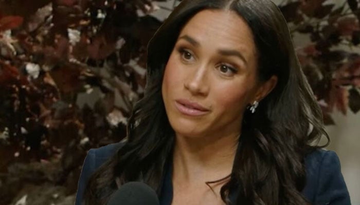Meghan hijack's Harry biggest most loved comfort