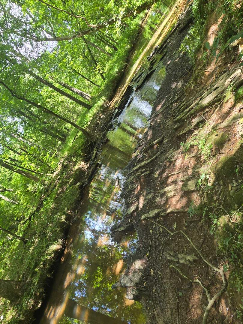 Nature Walk, connecting with earth.