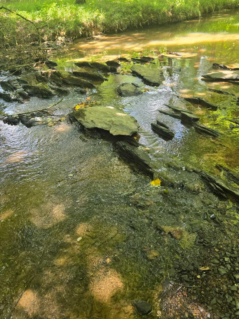Nature Walk, connecting with earth.