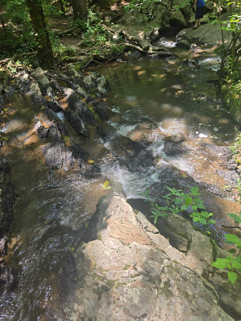 Nature Walk, connecting with earth.