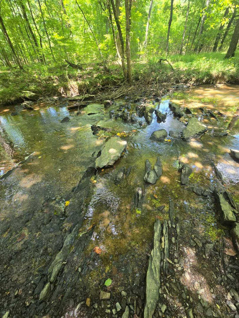 Nature Walk, connecting with earth.