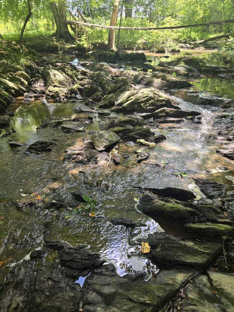 Nature Walk, connecting with earth.