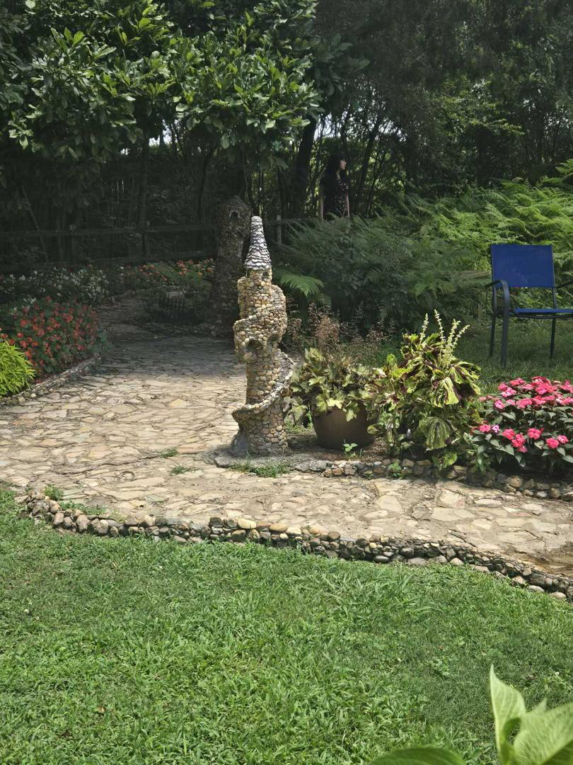 Adventure into the Rock Garden