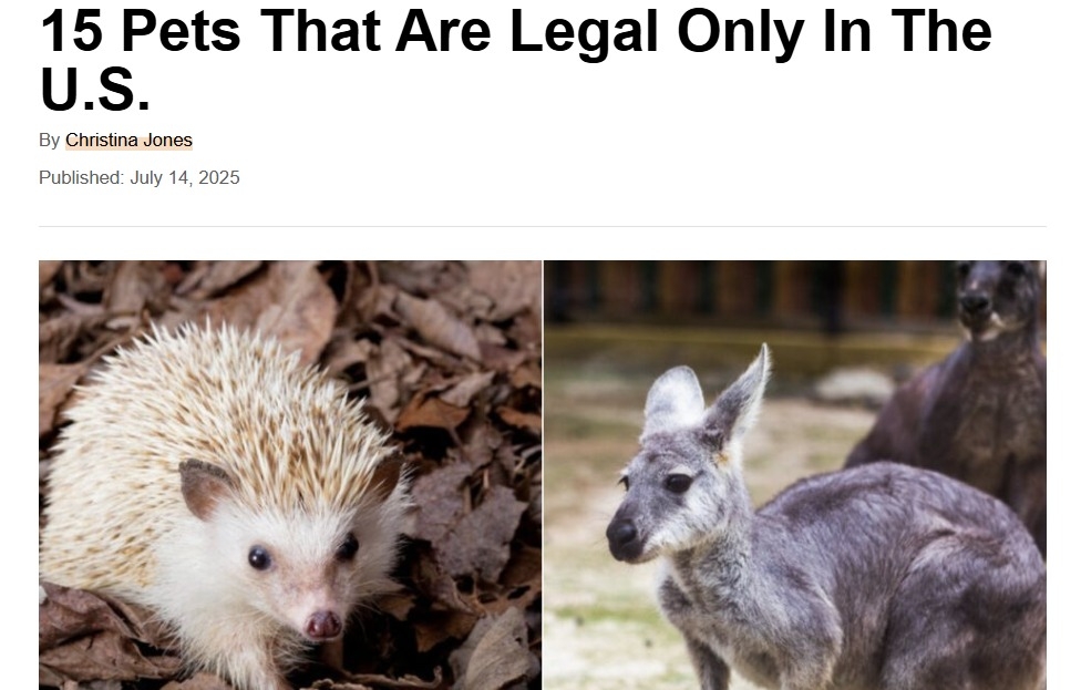 15 Pets That Are Legal Only In The U.S.