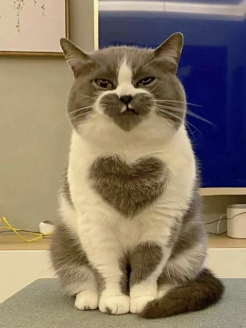 💘 How many hearts can you spot?