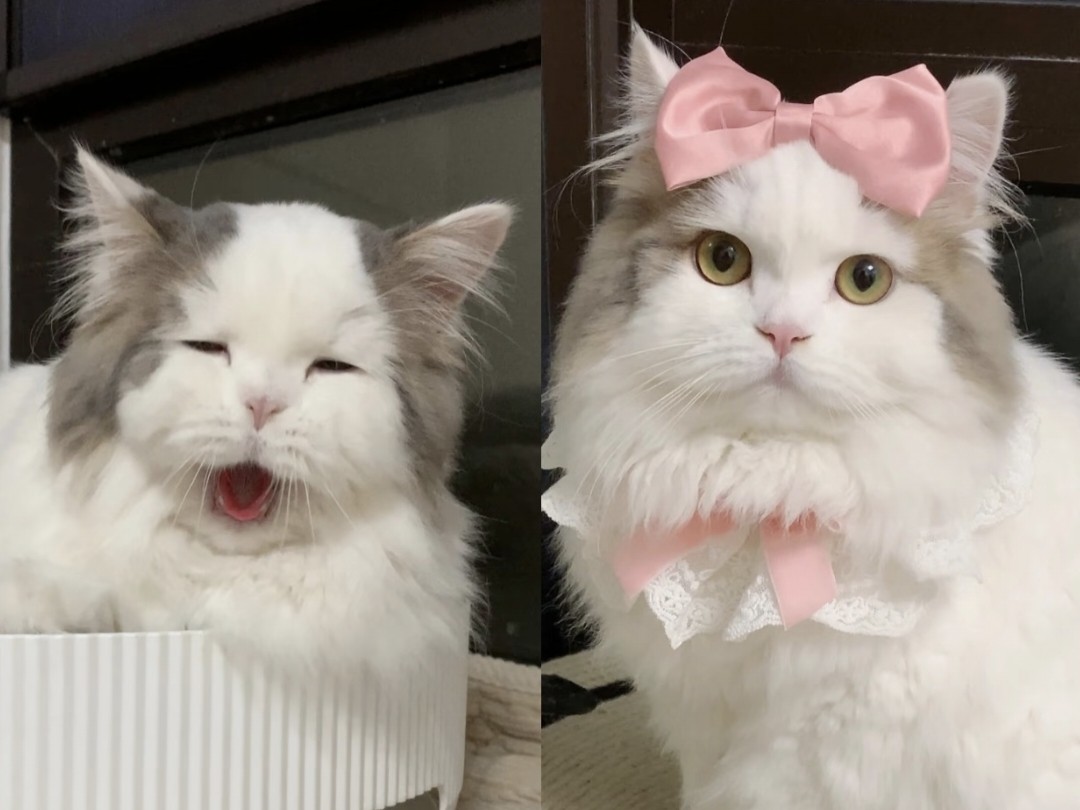 the power of makeup.