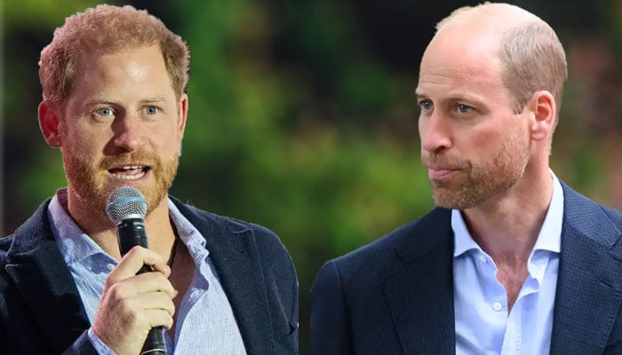 William warned feud Harry ‘begin end' monarchy