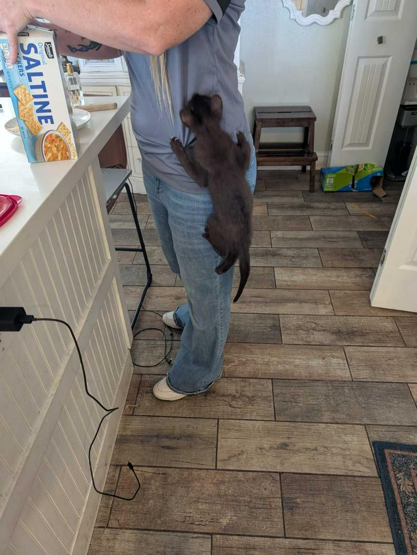 We feed him! I swear!