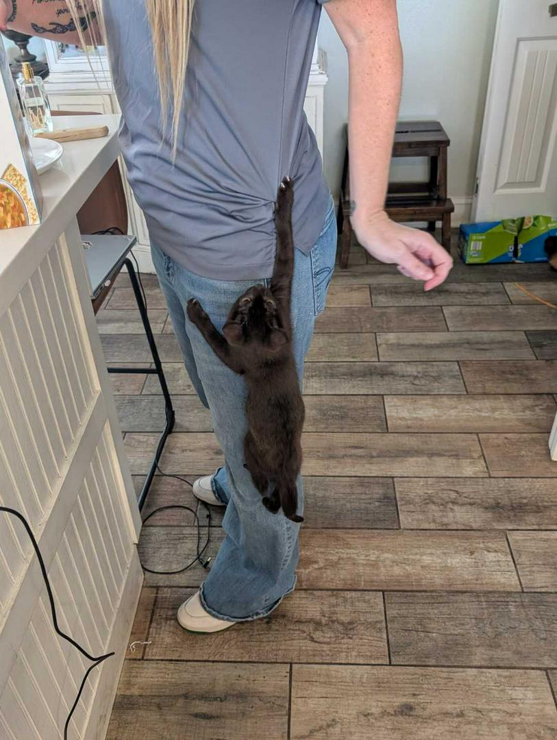We feed him! I swear!