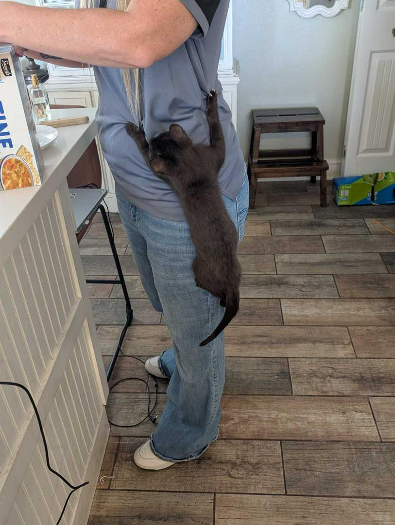 We feed him! I swear!