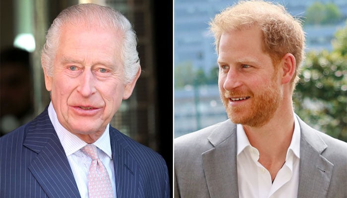 King 'excellent' advice over meeting Harry amid tr