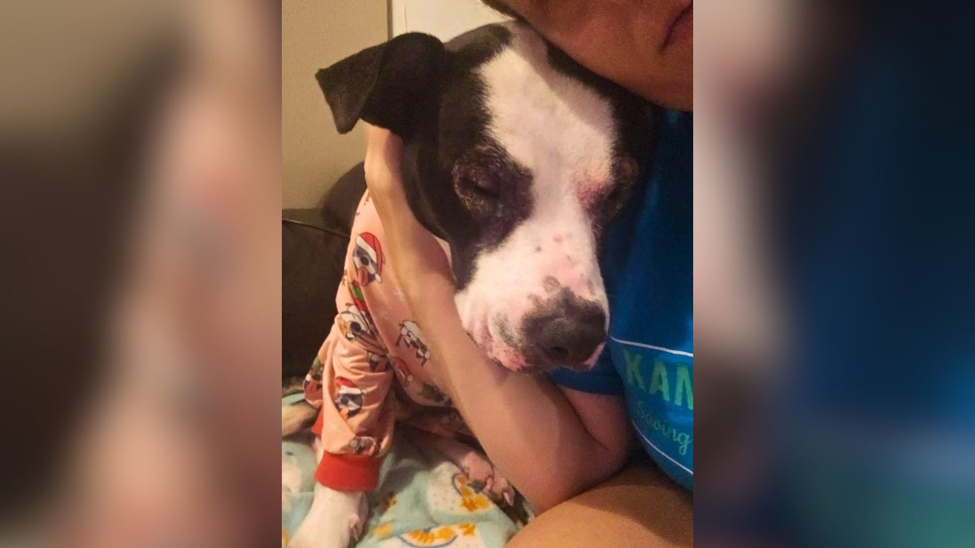 Adopted and Returned 5 Times—Still Hopeful
