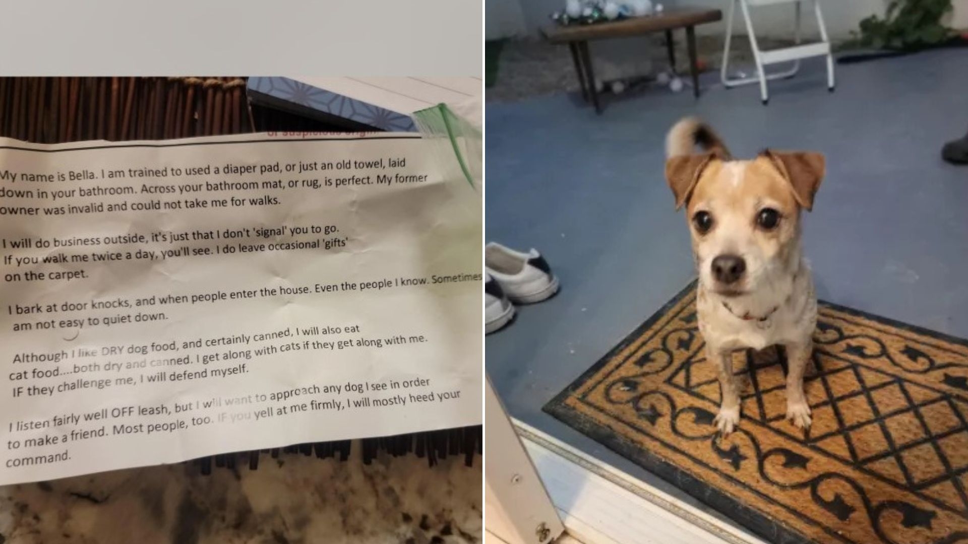 Note Left With Dog Leaves Couple in Tears