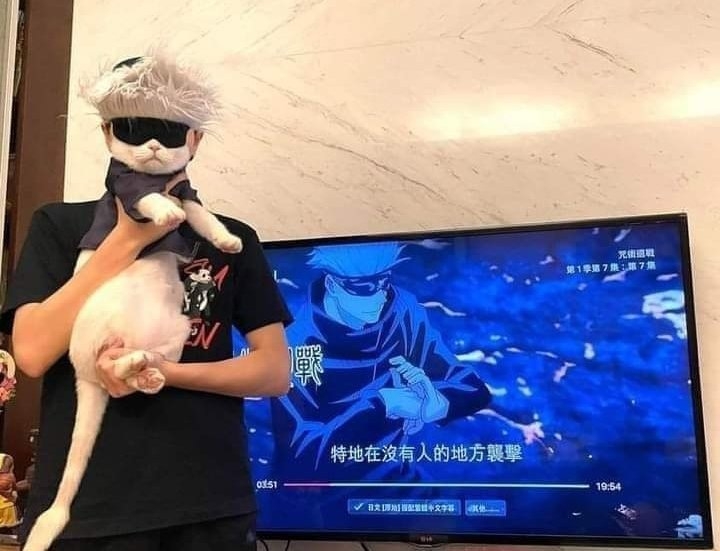 Cat Cos Gojo Satoru: Jujutsu Kaisen Vibe