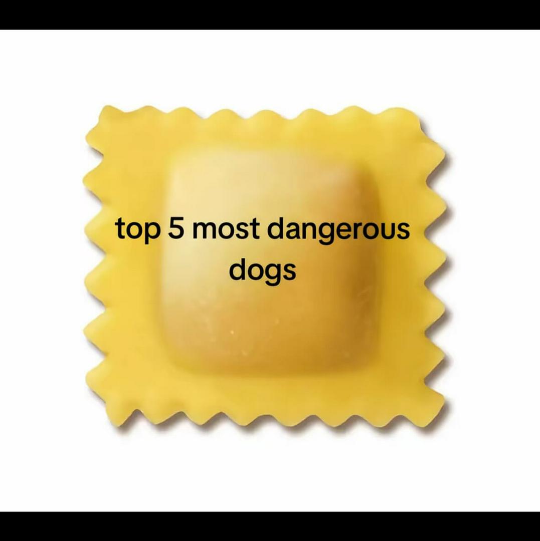 Scariest, dog breeds