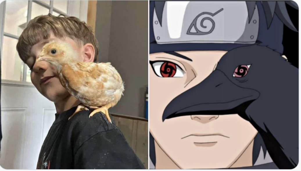 Real - Life Sharingan & Bird vs Anime Clone