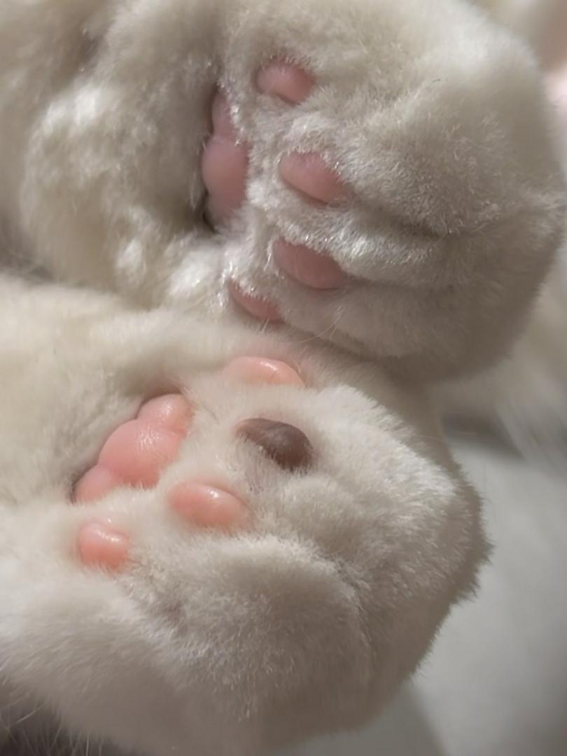 What’s going on with this little toe bean? 🐾🖤
