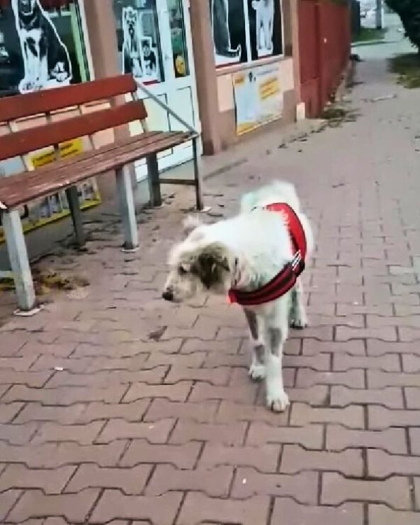 Dumped In The Mud… Still Hoping For Help