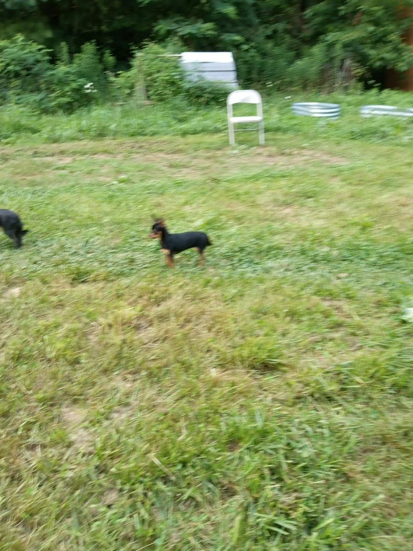MY BABY'S