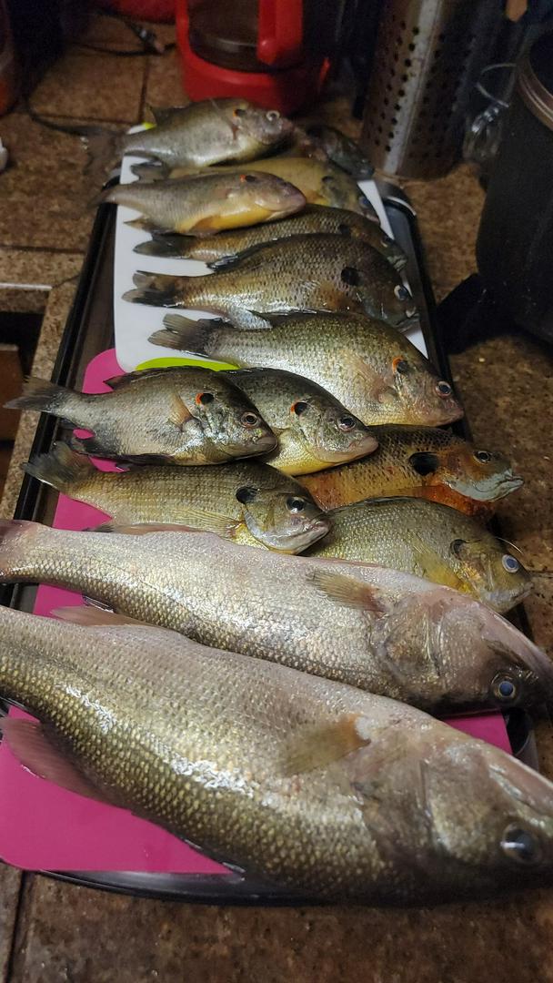 My Friday Fishing Day Was Great Again