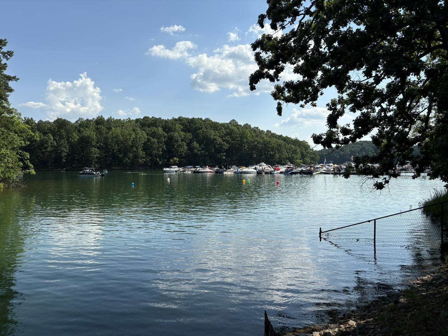 Lake Lanier at Night… 