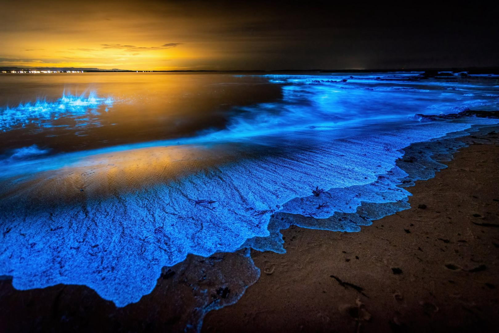 🌊 Ever seen the ocean glow in the dark? 🌌
