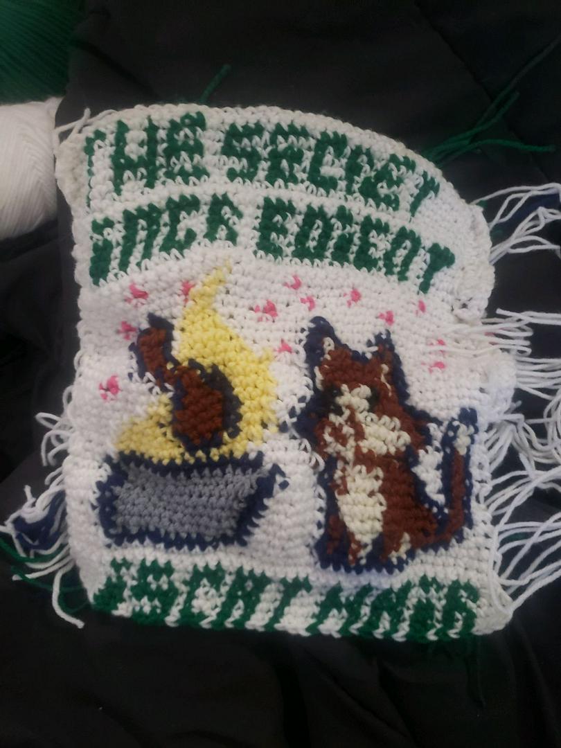 I crocheted this for my step sisters bday