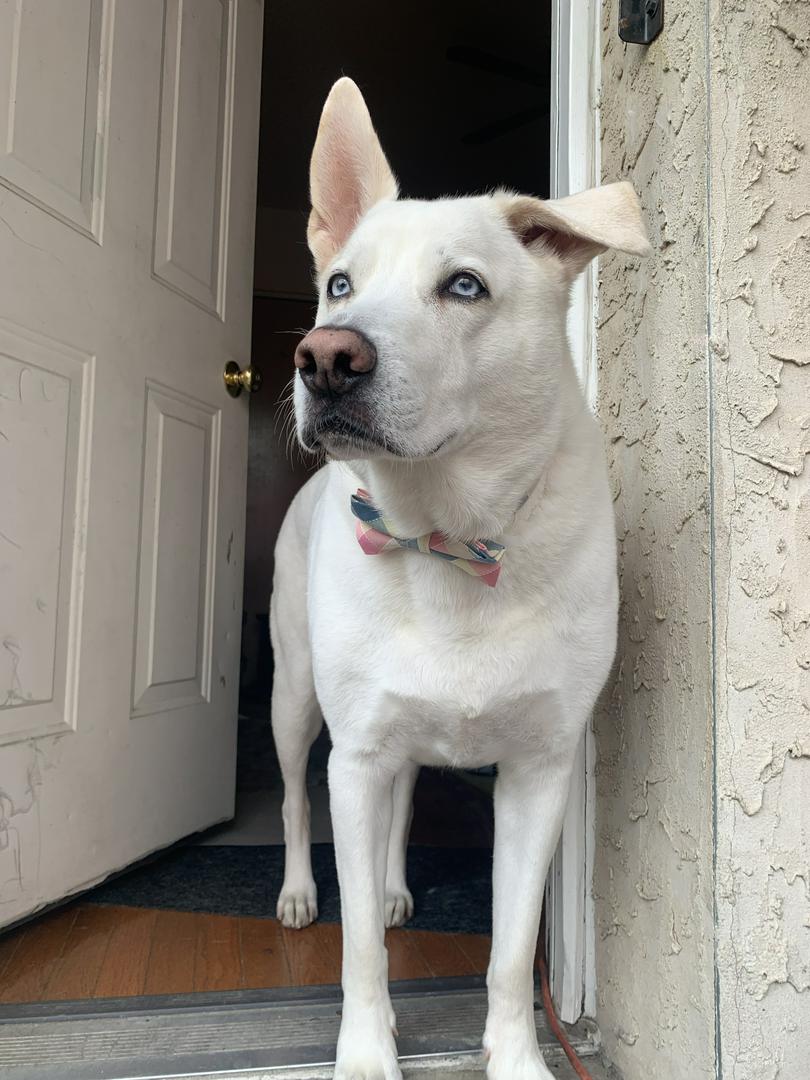 Tundra 