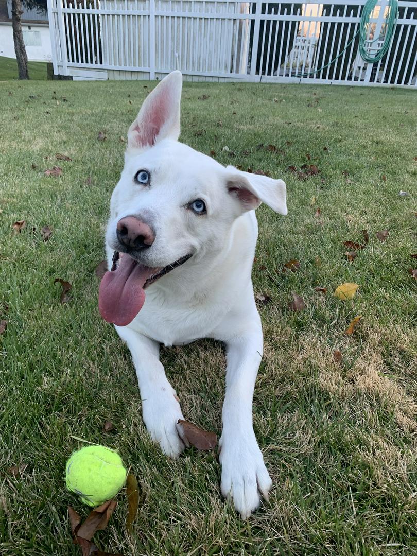 Tundra 