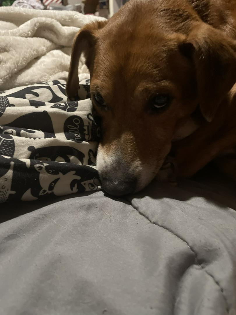 The true meaning of Unconditional Love 