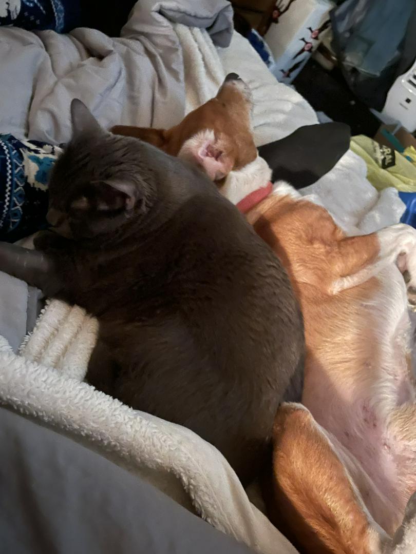 The true meaning of Unconditional Love 
