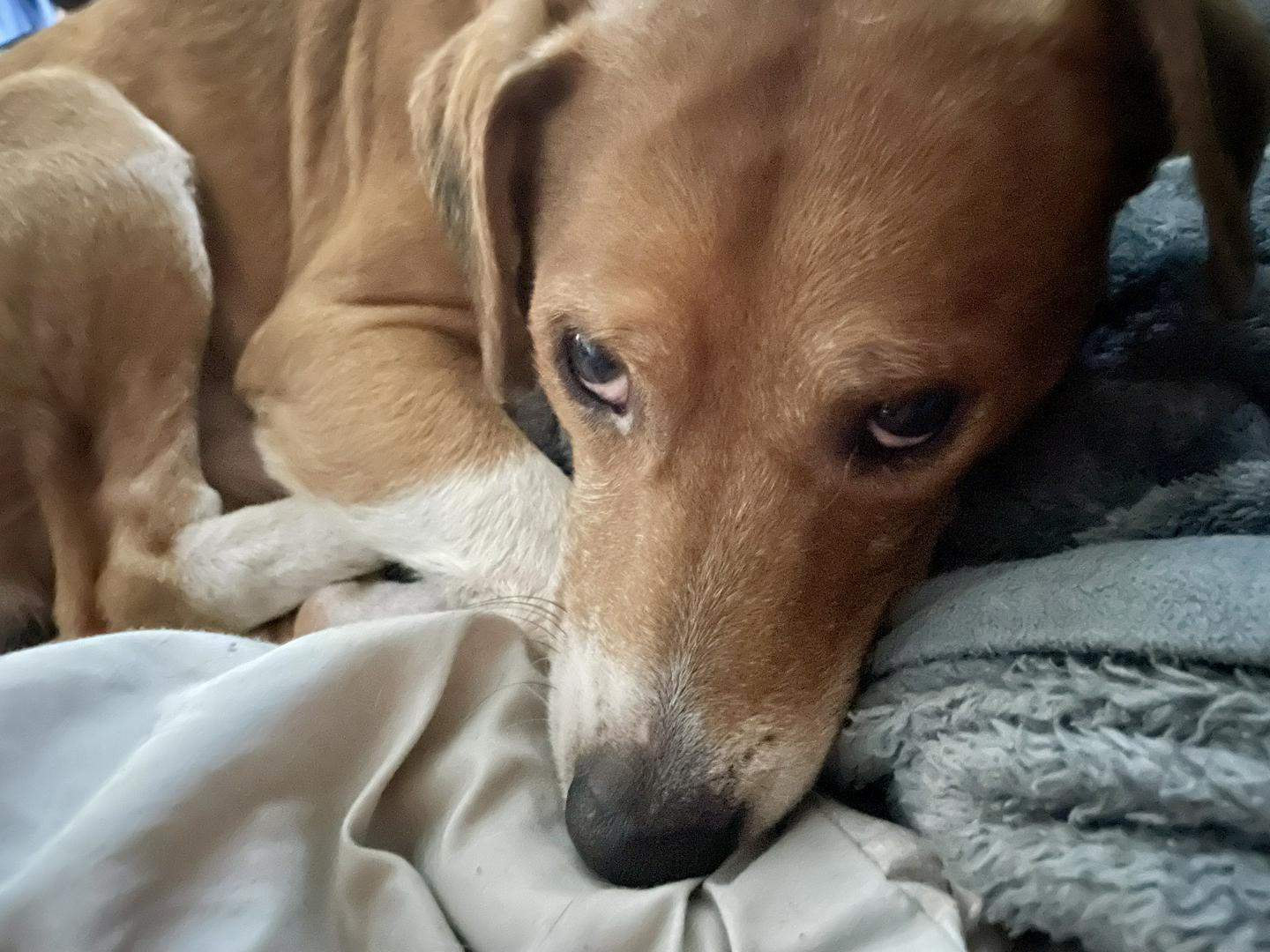 The true meaning of Unconditional Love 