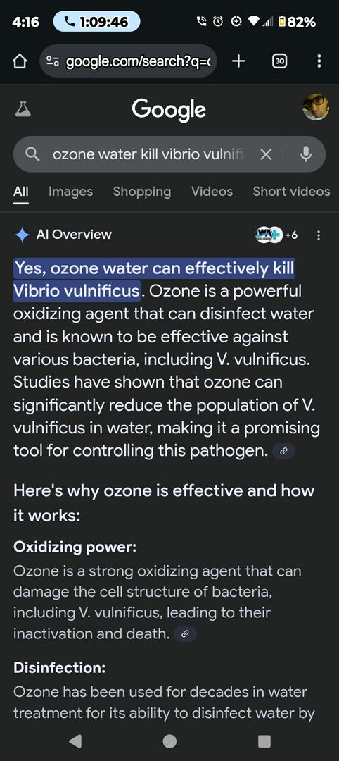 WTF...Is this the best kept secret!