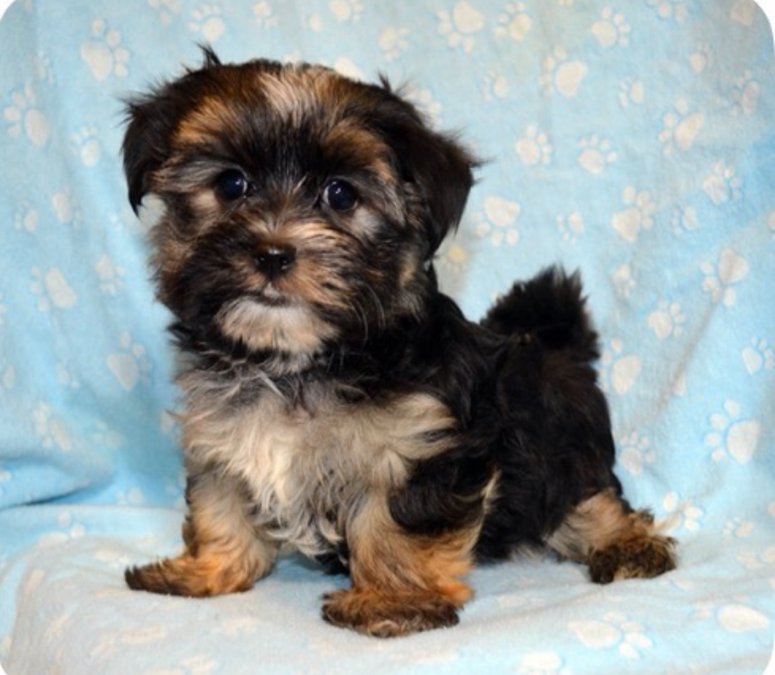 I need a name please help me 