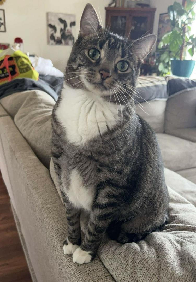 Yeah,well deserved. I guess this is a post your pet trend? There you go!
