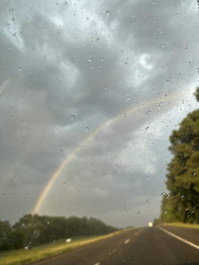 Rainbow 